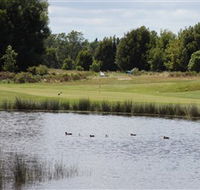 Llanherne Golf Club - Pubs and Clubs