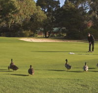 Royal Hobart Golf Club - Pubs and Clubs