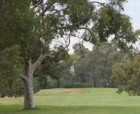 Tocumwal Golf Club - Go Out 2