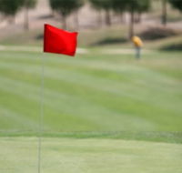 Gold Creek Country Club - Pubs and Clubs