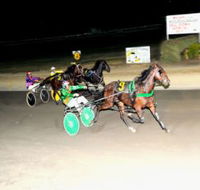 Bathurst Harness Racing Club - Pubs and Clubs