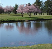 RMC Golf Club - Pubs and Clubs
