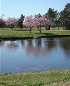 RMC Golf Club - Pubs and Clubs 0