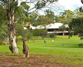 Pambula Merimbula Golf Club - Pubs and Clubs 0