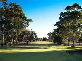 Loxton Golf Club - Pubs and Clubs 0