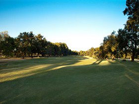 Loxton Golf Club - Pubs and Clubs 2