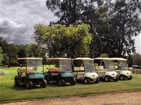 Loxton Golf Club - Pubs and Clubs 1