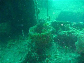 Wallaroo Scuba Club - Go Out 0