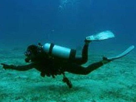 Wallaroo Scuba Club - Go Out 1