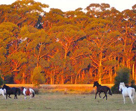 Horse Riding At Oaks Ranch And Country Club - Go Out 1