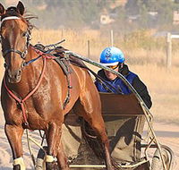 Ballarat  District Trotting Club - Pubs and Clubs