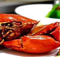 Newquay International Buffet - Go Out