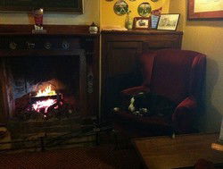 Royal Cricketers Arms - Go Out 2