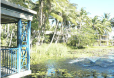 Bushland Tavern - Pubs and Clubs 2