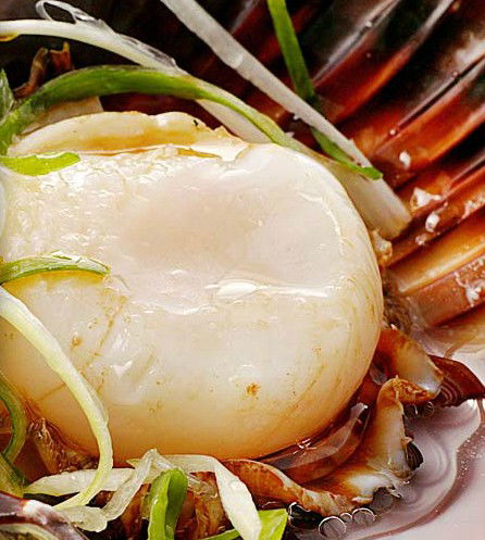Golden Century Seafood Restaurant - Go Out 2