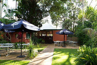 Maleny Hotel - Pubs and Clubs 2