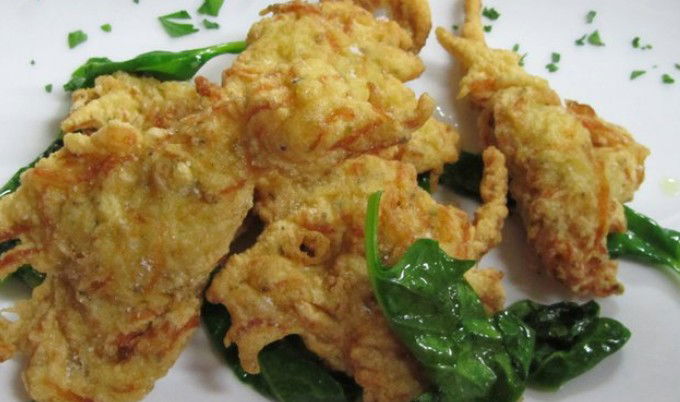 Haberfield NSW Pubs and Clubs