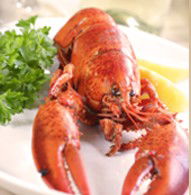 Il Piatto Restaurant - Pubs and Clubs 1