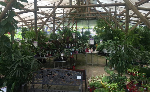 Limberlost Nursery & Garden Centre - Go Out 1