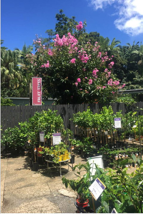 Limberlost Nursery & Garden Centre - Go Out 3