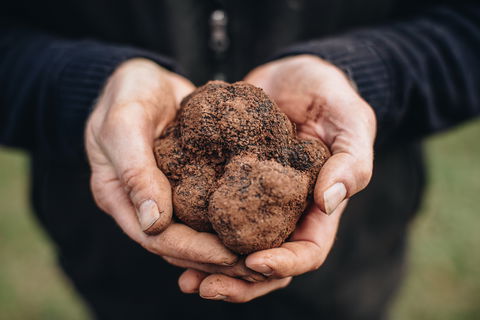A Taste Of Truffles - Go Out 0