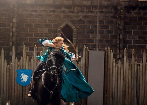 Baroque Horse Festival - Pubs and Clubs 0