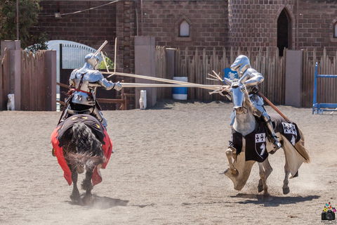 Baroque Horse Festival - Pubs and Clubs 2