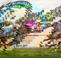 Bathurst Cup - Go Out