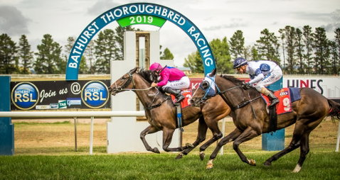Bathurst Cup - Pubs and Clubs 0