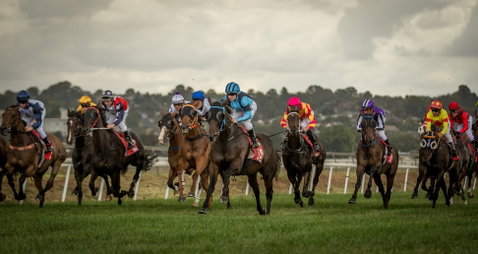 Bathurst Cup - Pubs and Clubs 1