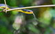 Be Welcomed By Wildlife At The Australian Wildlife Sanctuary - thumb 0