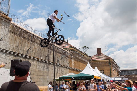 Bitter And Twisted Boutique Beer Festival - Go Out 1