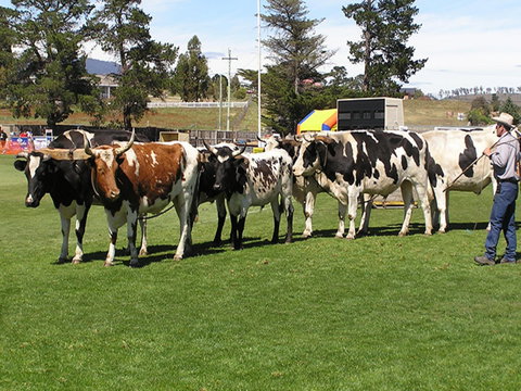 Brighton Show - Go Out 0