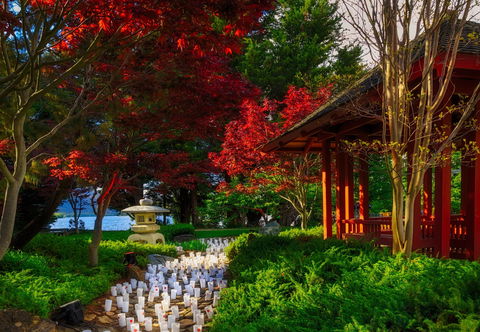 Canberra Nara Candle Festival - Go Out 2