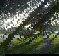 Celebration Outing Special - Go Out