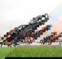 Christmas Cup Race Day - Go Out