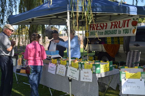 Corowa Rotary Federation Festival Market - Pubs and Clubs 0