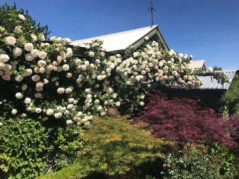 Crookwell Garden Festival - Pubs and Clubs 1