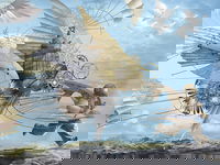 Dreams of Air and Flight