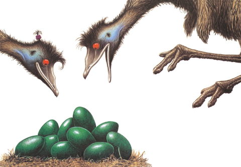 Edward The Emu - Go Out 0