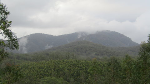 Elephant Trail Race - Go Out 2