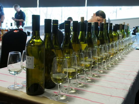 Eltham And District Wine Guild Annual Wine Show - 51st Annual Show - Go Out 1