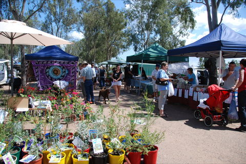Fernvale Country Markets - Pubs and Clubs 0