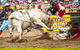 Jindabyne's Man From Snowy River Rodeo - thumb 0