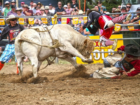 Jindabyne's Man From Snowy River Rodeo - Go Out 0