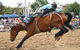 Jindabyne's Man From Snowy River Rodeo - thumb 1