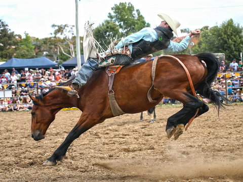 Jindabyne's Man From Snowy River Rodeo - Go Out 1