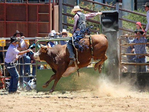 Jindabyne's Man From Snowy River Rodeo - Go Out 2
