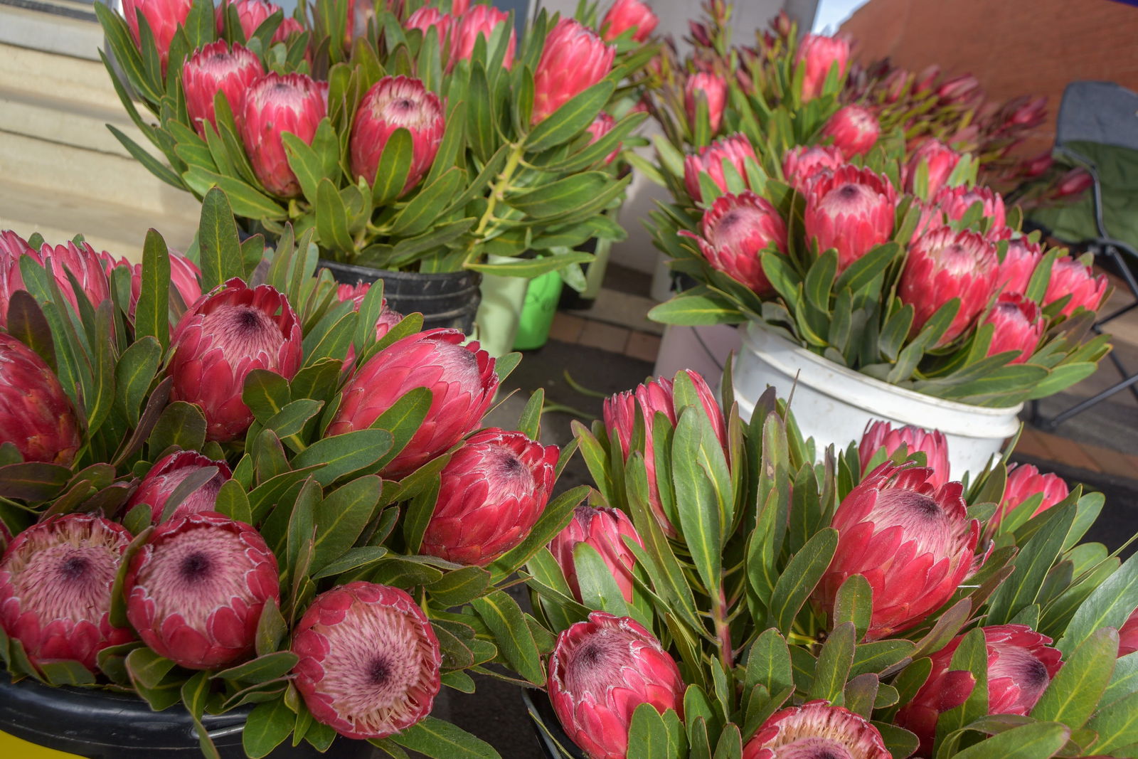 Junee NSW Pubs and Clubs