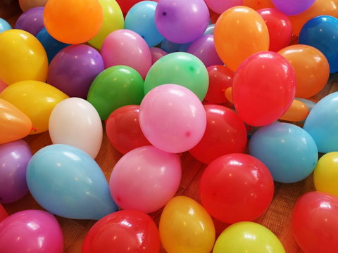 Kids Zone Mamre Homestead - Go Out 0